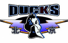 京隊季后賽命中率超五成，三分效率高，搶前場籃板20+。