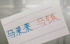 申花雙馬獻技，精彩比賽繼續。