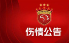 海港隊(duì)顏駿凌左踝韌帶撕裂，預(yù)計(jì)傷缺2-3周