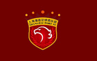 海港技術(shù)總監(jiān)：培養(yǎng)年輕球員，助力俱樂部未來