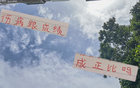 中超四強申花傷病多，成績仍居首。12輪后表現突出。