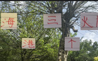 武磊、古斯塔沃、萊昂納多，海港隊誰進球更多？