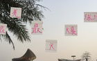 大連戰(zhàn)申花，門票半小時售完，馬萊萊VS米內羅精彩PK。