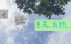 考驗薛慶浩，申花面臨挑戰，蔣圣龍防馬萊萊或顯吃力。