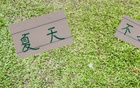 申花領(lǐng)先6分，國安續(xù)約烏，夏窗靜待。