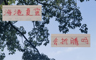 無奧斯卡，海港跌至四名，昔日霸主失色。