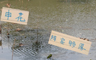 申花替補陣容，國腳主力，中超榜首實力。