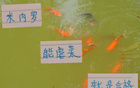 中超強隊，米內羅申花C位，前鋒穩虐，實力合格。