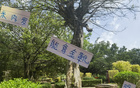 米內羅金靴，申花奪冠，范志毅95年輝煌再現。