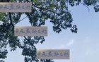 申花后勁不足，去年已現(xiàn)。海港、國安仍有翻盤機會。