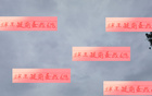 武磊傷退，海港備戰補賽。