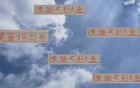 大魚浮頭，夏窗中超購人潮，申花南多，前海港奇塔。