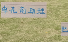 斯盧茨基愛徒獨領風騷，歐洲奪冠！