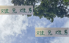 難兄難弟，京安韓佳奇與滬港王振澳共赴德康復。