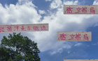 張玉寧高天意，國安申花精英；留洋進國家隊，實力非凡。