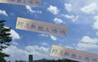 阿馬杜、朱辰杰能否上場？申花戰(zhàn)深圳，期待比賽！
