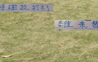 申花特謝拉傷缺，國家隊無礙，反家傷兩人。
