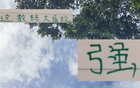 強(qiáng)觀大局！國安主帥輪換險致敗，多樣陣容更勝一籌。