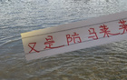 面對馬萊萊，上海海港需勝大連英博，否則奪冠無望！