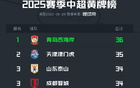 中超半程黃牌榜：西海岸領(lǐng)跑，津門虎次之，魯蓉成第三。