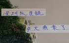中超29輪，申花戰深圳挑戰大，新英超射手助陣。
