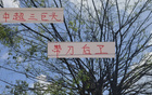 中超三巨頭，誰是真帶刀后衛？海港張琳芃，申花蔣圣龍。