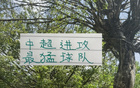 北京國安攻擊力強，海港申花進球數平。