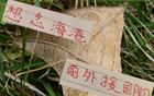 中超三豪門，海港缺國腳外援，奧斯卡球迷懷念。