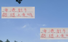 申花失中超最佳射手之爭，海港萊昂納多能否逆襲？