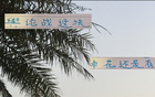 事出反常，申花老謀深算，勝后申訴，輿論戰不簡單。