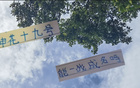 阿蘇埃申花19號，7月19日戰成名。
