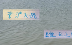 京滬大戰，申花體力消耗大，國安占優。
