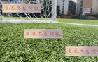 阿祖收手，海港亞歷斯祖能否成陳晉一？