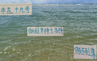 申花19號破防，馬萊萊、米神難及。