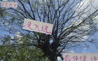 中超17輪，最佳球員候選無吳曦，如何實現？