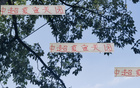 夏窗收官，四隊顯高級風范。
