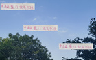 中超三豪門棄外援，申花米神，海港古9，巴西三人組。