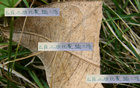 北京國(guó)安七月連敗兩場(chǎng)，足協(xié)杯晉級(jí)幸存