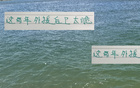 北京國安選后衛，馬杜至斯帕吉奇，玻璃屬性顯露。
