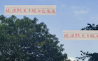 中超18輪，申花海港各兩80后老將活躍。