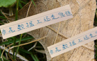申花領跑榜首，進球第一，失球少，18輪不敗！