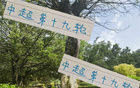周末申花云南高原賽，阿蘇埃赤道南能否進第四球？
