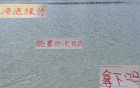海港無(wú)奧斯卡，武磊助陣，德比勝鄰居顯真功。