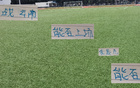 朱辰杰戰(zhàn)云南成疑，球迷盼其留力海港。
