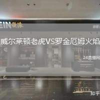 威爾萊頓老虎VS羅金厄姆火焰