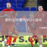 索科爾皮塞克VSBK迪辛