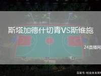 斯塔加德什切青VS斯維施