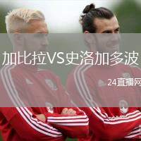 加比拉VS史洛加多波