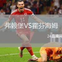 弗賴堡VS霍芬海姆