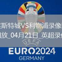 英超第33輪利物浦1-0萊斯特城